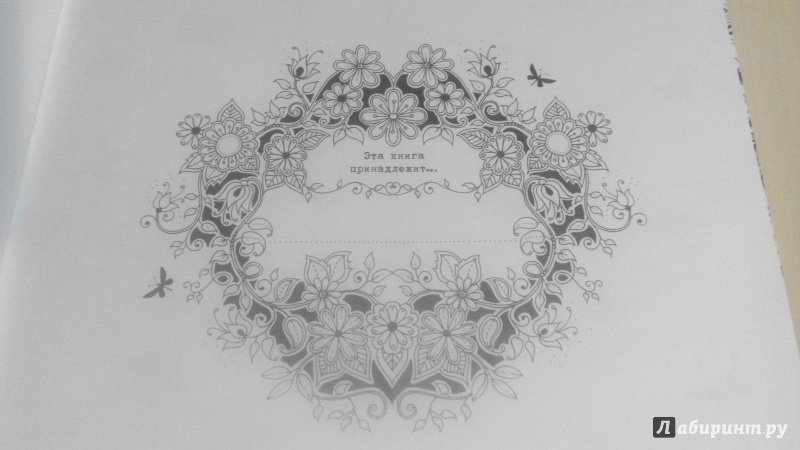 Иллюстрация 140 из 149 для Таинственный сад - Джоанна Бэсфорд | Лабиринт - книги. Источник: Красная шапочка