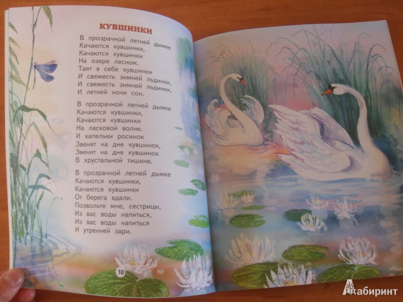 Иллюстрация 5 из 8 для Чудеса вокруг - Владимир Степанов | Лабиринт - книги. Источник: knigolyub
