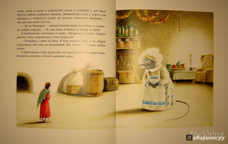 Иллюстрация 74 из 99 для Дюймовочка - Ханс Андерсен | Лабиринт - книги. Источник: Трухина Ирина