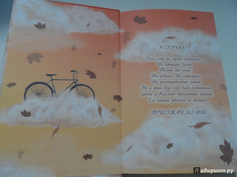 Иллюстрация 25 из 36 для Полет ласточки - Мириам Дубини | Лабиринт - книги. Источник: Брежнева  Инга