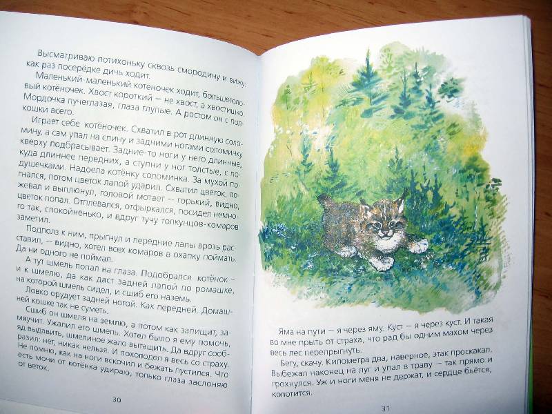 Иллюстрация 52 из 55 для Болтливая сорока - Евгений Чарушин | Лабиринт - книги. Источник: Red cat ;)