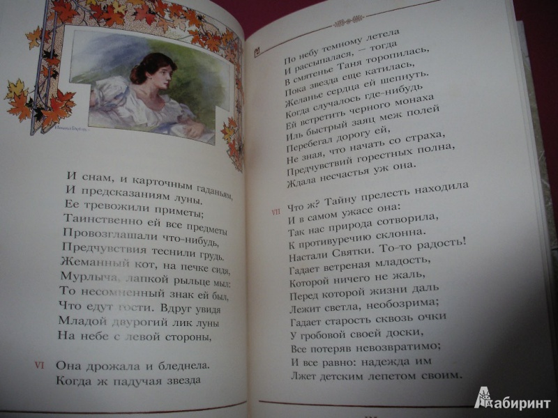 Иллюстрация 24 из 97 для Евгений Онегин - Александр Пушкин | Лабиринт - книги. Источник: Tiger.