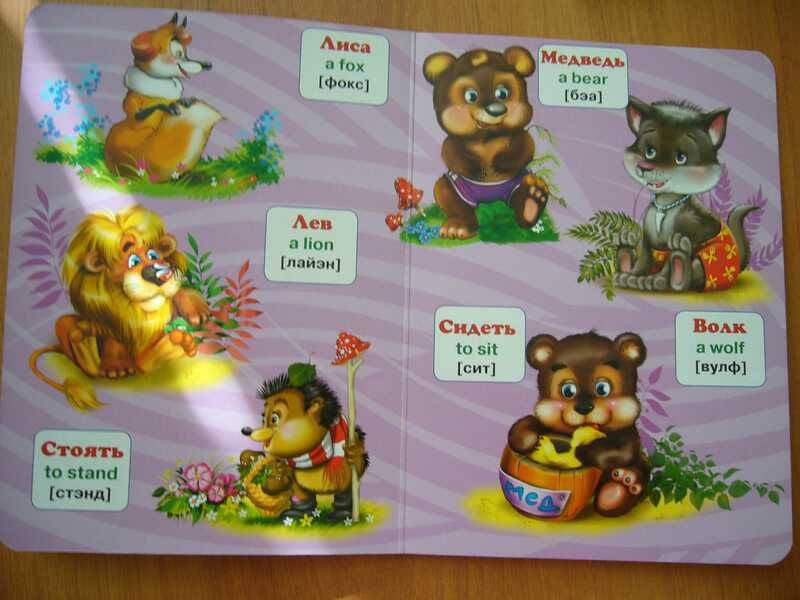 Иллюстрация 10 из 12 для Английский язык в картинках для малышей | Лабиринт - книги. Источник: NATALEX