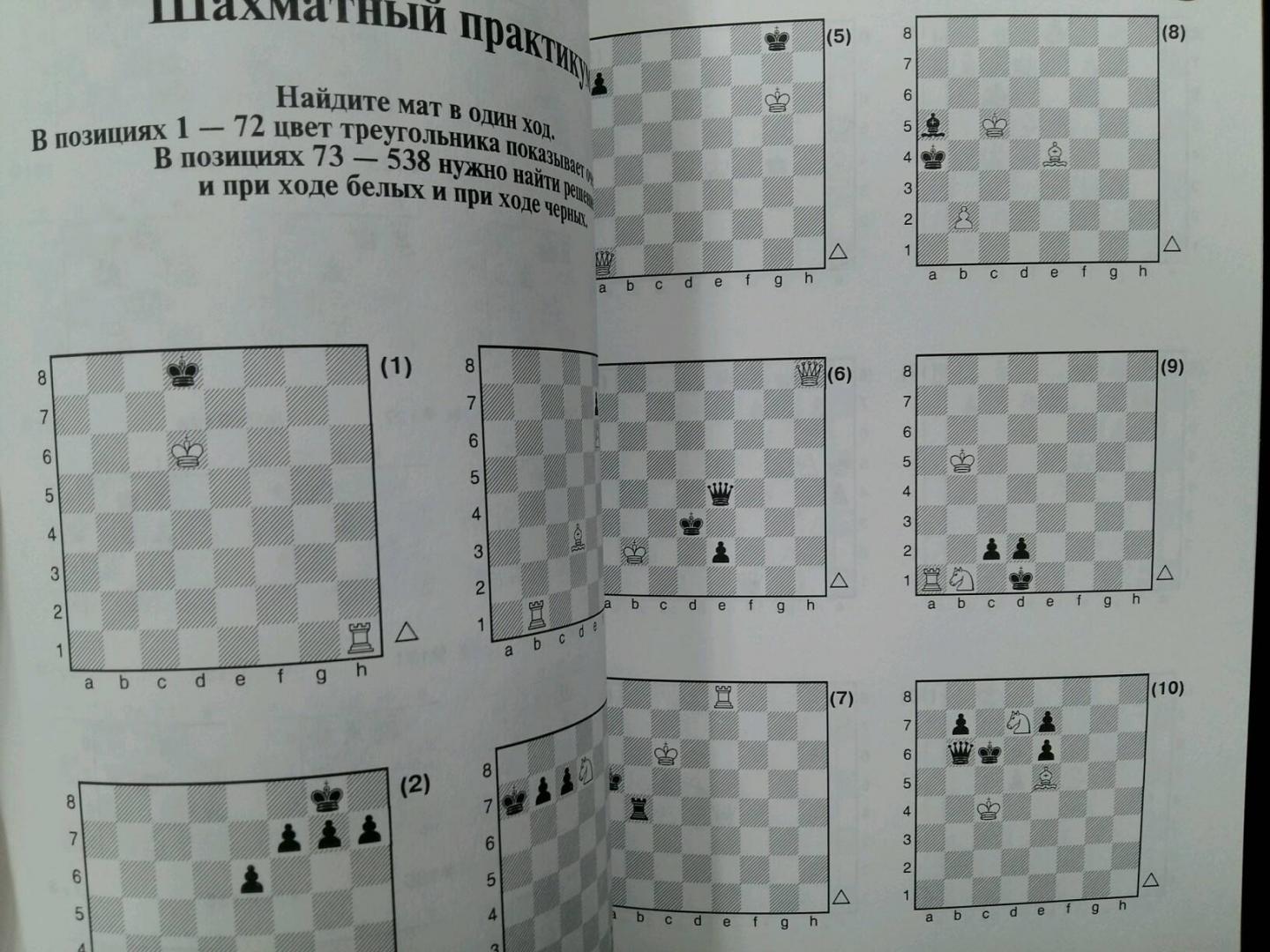 Иллюстрация 20 из 20 для Азы шахмат - Виктор Березин | Лабиринт - книги. Источник: L  Elena