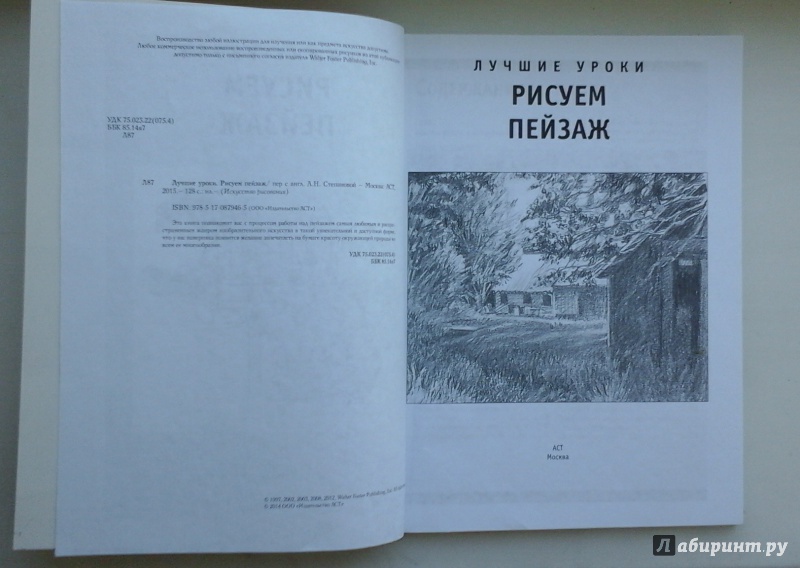 Иллюстрация 10 из 48 для Лучшие уроки. Рисуем пейзаж - Speakman, Goldman, Cardaci | Лабиринт - книги. Источник: Крюкова  Карина