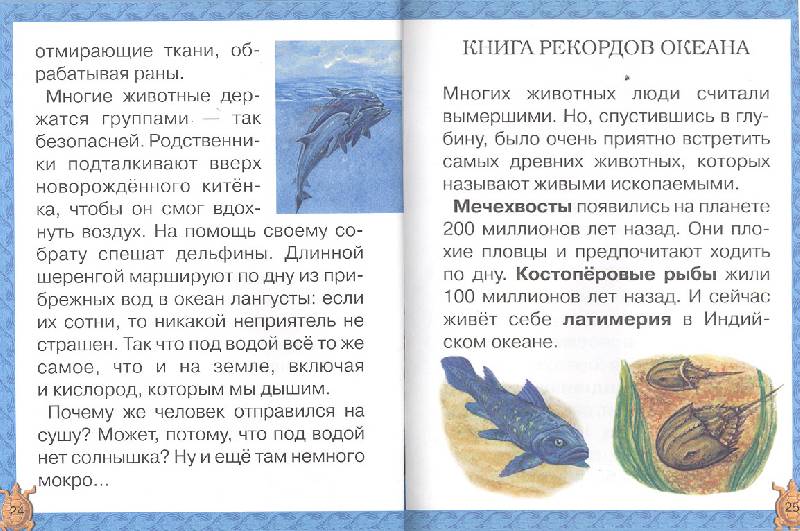 Иллюстрация 15 из 20 для Подводный мир - Ольга Колпакова | Лабиринт - книги. Источник: мамаОля