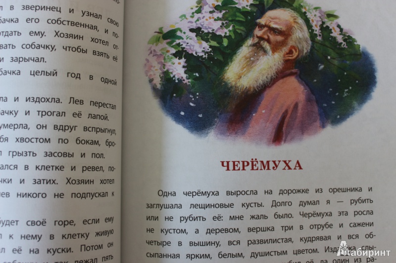 Иллюстрация 30 из 71 для Маленькие рассказы - Лев Толстой | Лабиринт - книги. Источник: so-vanille