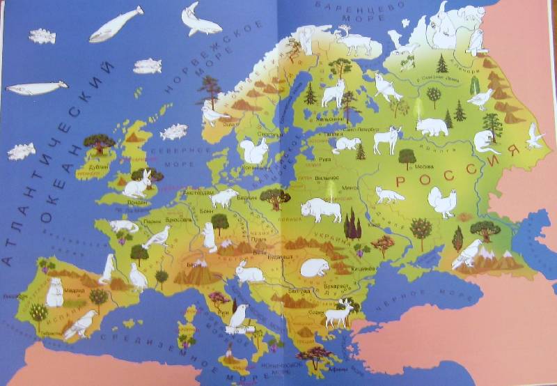 Иллюстрация 3 из 4 для В мире животных: Европа - Игорь Куберский | Лабиринт - книги. Источник: BOOKвочка