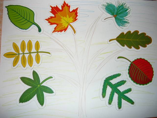 Иллюстрация 5 из 8 для Трафареты: Листья деревьев (1368) | Лабиринт - игрушки. Источник: Ромашка:-)