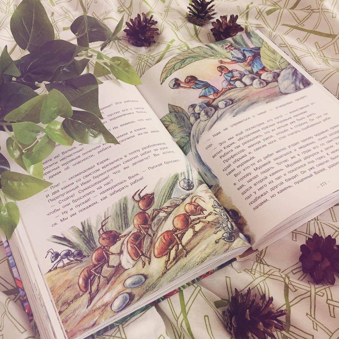 Иллюстрация 95 из 95 для Необыкновенные приключения Карика и Вали - Ян Ларри | Лабиринт - книги. Источник: Отзывы читателей