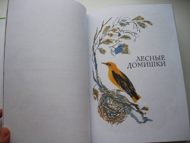 Иллюстрация 11 из 18 для Лесные домишки - Виталий Бианки | Лабиринт - книги. Источник: Осьминожка