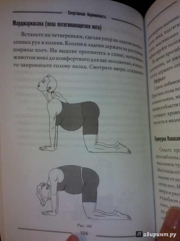Иллюстрация 18 из 31 для Спортивная беременность. Фитнес-путеводитель для будущих мам - Анна Федулова | Лабиринт - книги. Источник: Levi Lju