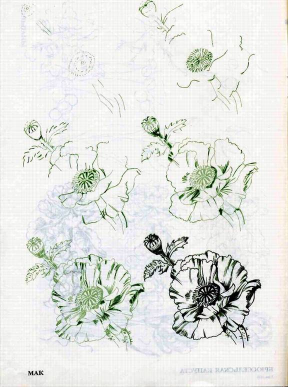 Иллюстрация 13 из 29 для Рисуем 50 цветов и деревьев - Эймис, Эймис | Лабиринт - книги. Источник: Panterra