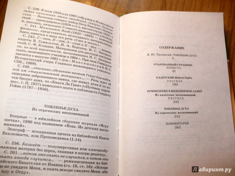 Иллюстрация 35 из 41 для Кадетский монастырь - Николай Лесков | Лабиринт - книги. Источник: Голиков  Сергей Юрьевич