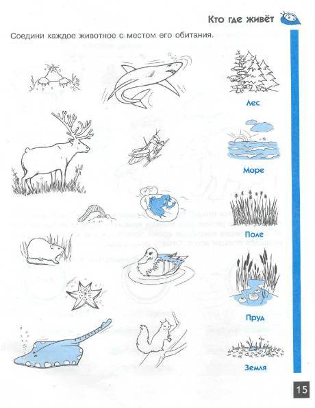 Иллюстрация 3 из 6 для Школа природы: Наблюдения - Ольга Шапина | Лабиринт - книги. Источник: Лана