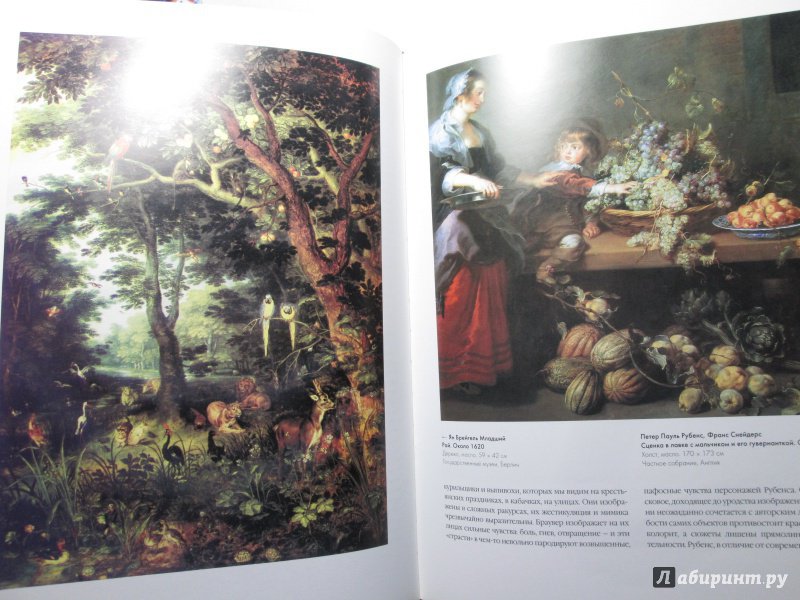Иллюстрация 26 из 28 для Шедевры фламандской и голландской живописи - А. Киселев | Лабиринт - книги. Источник: bродяжник