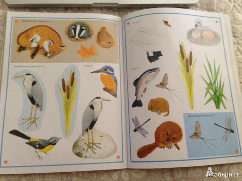 Иллюстрация 26 из 32 для Чудо-наклейки. Мир природы | Лабиринт - книги. Источник: петра