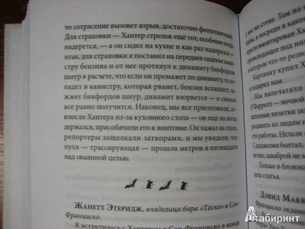 Иллюстрация 13 из 21 для Gonzo. Жизнь Хантера Томпсона. Биография в высказываниях - Веннер, Сеймур | Лабиринт - книги. Источник: Романтик-Негодяй