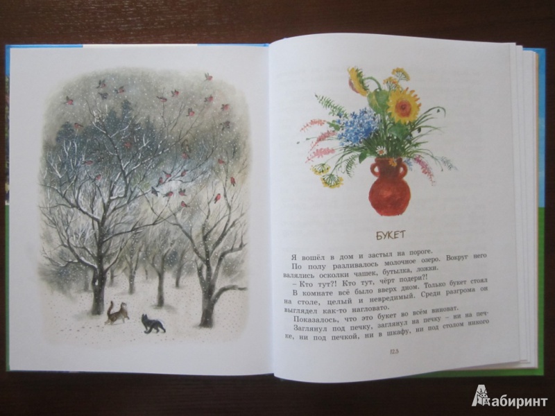 Иллюстрация 22 из 59 для Картофельная собака - Юрий Коваль | Лабиринт - книги. Источник: ЮлияО