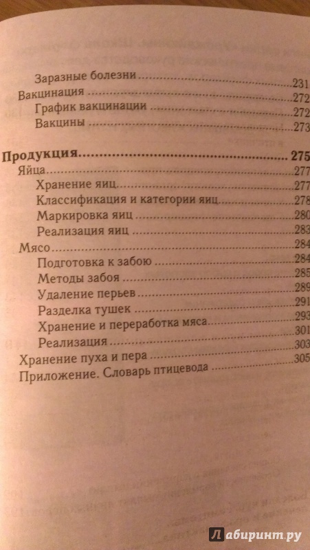 Иллюстрация 15 из 15 для Куры яичных пород - Илья Балашов | Лабиринт - книги. Источник: Подмосковная панда