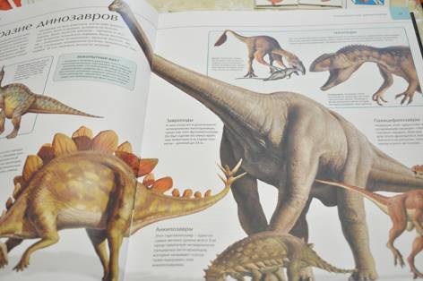 Иллюстрация 105 из 109 для Динозавры. Иллюстрированный атлас - Майкл Бретт-Шуман | Лабиринт - книги. Источник: Natali_i_Ko