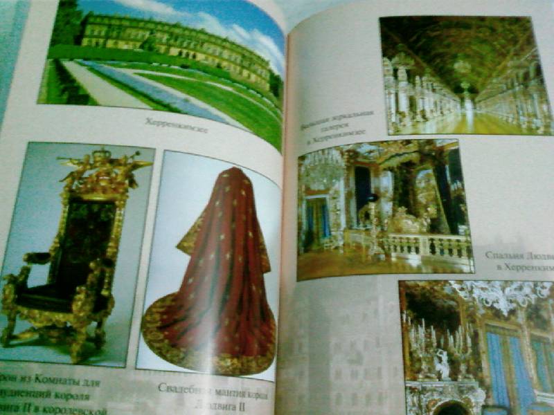 Иллюстрация 27 из 38 для Замки баварского короля - Мария Залесская | Лабиринт - книги. Источник: lettrice