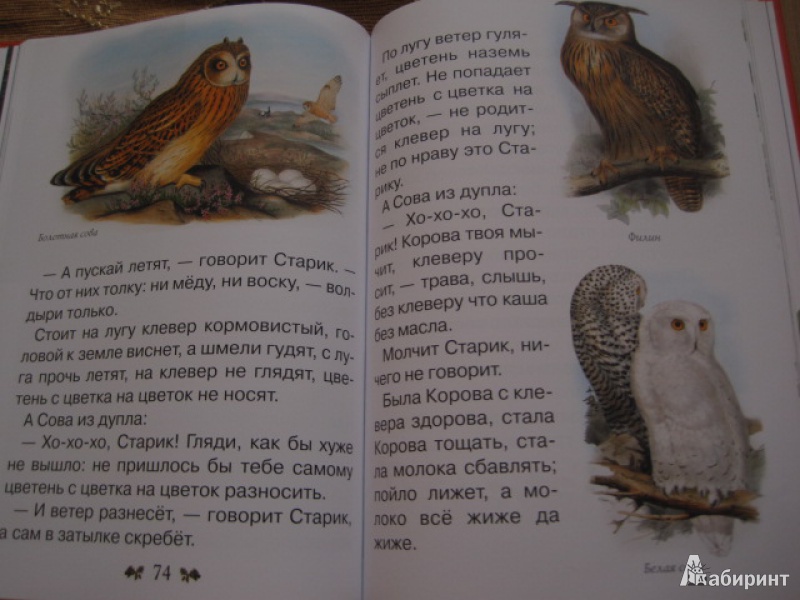 Иллюстрация 7 из 62 для Сказки и рассказы о животных - Виталий Бианки | Лабиринт - книги. Источник: Книгомама