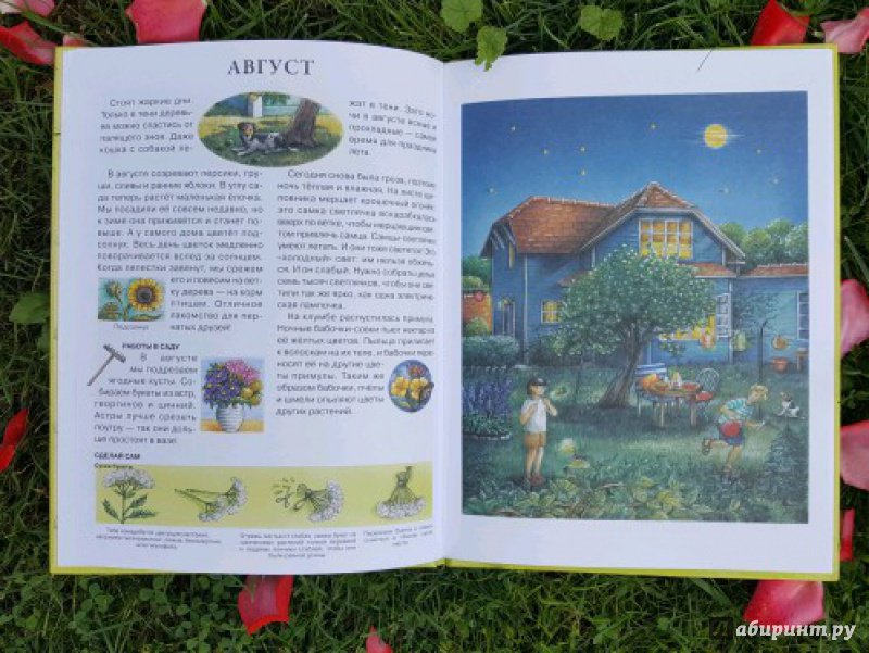 Иллюстрация 40 из 43 для Год в саду - Сюзанна Риха | Лабиринт - книги. Источник: Федулова  Анна Алексеевна