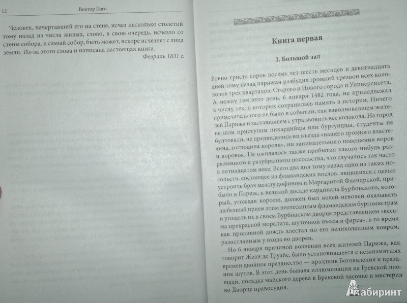 Иллюстрация 8 из 13 для Собор Парижской Богоматери - Виктор Гюго | Лабиринт - книги. Источник: Леонид Сергеев