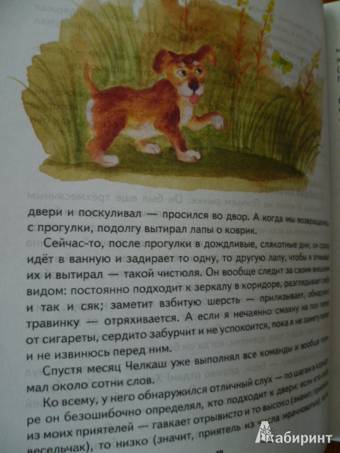 Иллюстрация 6 из 38 для Мои собаки - Леонид Сергеев | Лабиринт - книги. Источник: Avid Reader