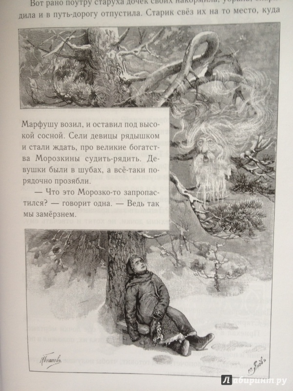Иллюстрация 13 из 60 для Русские народные сказки | Лабиринт - книги. Источник: Мещерякова  Ольга Юрьевна