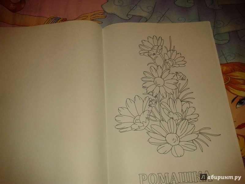 Иллюстрация 11 из 15 для Раскраски с прозрачными страницами "Цветы" (35918) | Лабиринт - книги. Источник: ханушка