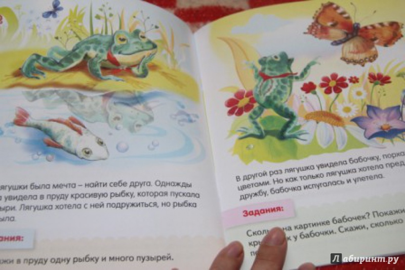 Иллюстрация 6 из 31 для Один, два, много, или Жила-была лягушка - Марина Султанова | Лабиринт - книги. Источник: Юленция