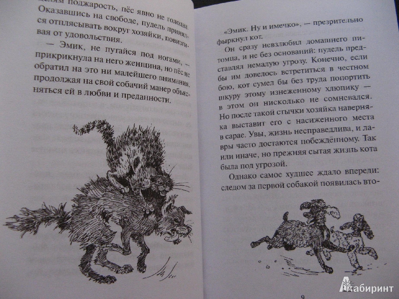 Иллюстрация 5 из 13 для Кот на счастье - Тамара Крюкова | Лабиринт - книги. Источник: Ольга