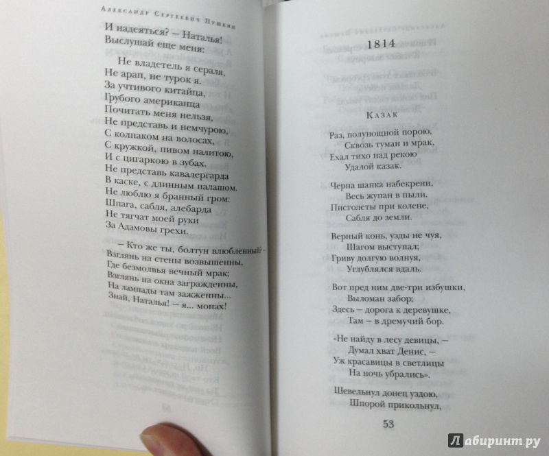 Иллюстрация 17 из 33 для Стихотворения - Александр Пушкин | Лабиринт - книги. Источник: Tatiana Sheehan
