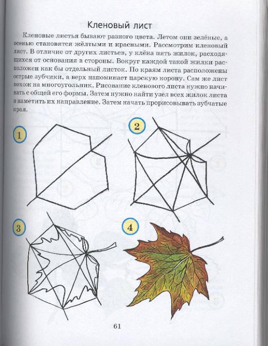 Иллюстрация 11 из 35 для Учимся рисовать - Галина Шалаева | Лабиринт - книги. Источник: Пчёлка Майя