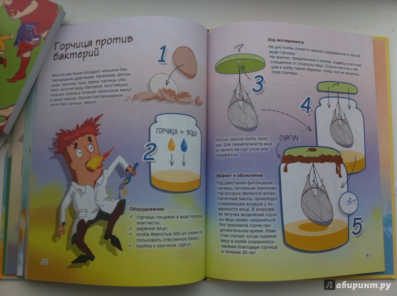 Иллюстрация 6 из 17 для Веселые научные опыты. Увлекательные эксперименты с растениями и солнечным светом - Егор Белько | Лабиринт - книги. Источник: ИрМур