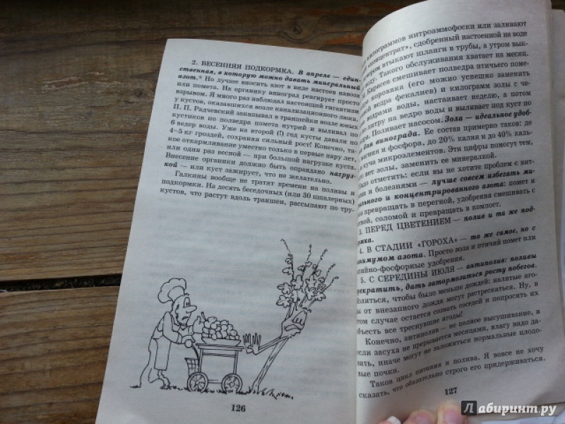 Иллюстрация 14 из 14 для Умный виноградник для себя - Николай Курдюмов | Лабиринт - книги. Источник: Пилер  Евгения