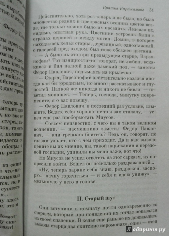 Иллюстрация 12 из 24 для Братья Карамазовы - Федор Достоевский | Лабиринт - книги. Источник: NiNon