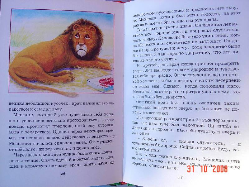 Иллюстрация 11 из 12 для Питомцы зоопарка - Вера Чаплина | Лабиринт - книги. Источник: Анна К.