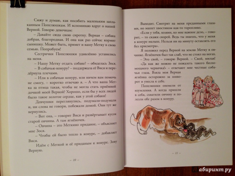 Иллюстрация 20 из 43 для Муха с капризами - Ян Грабовский | Лабиринт - книги. Источник: Псевдоним