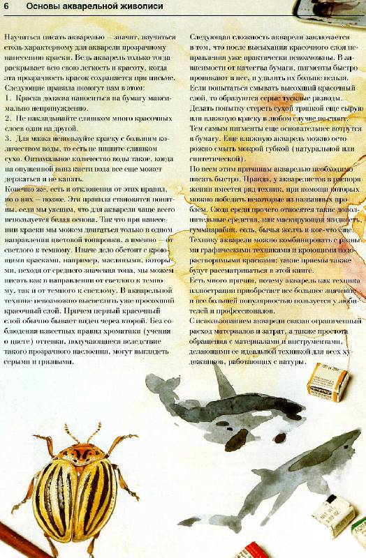 Иллюстрация 4 из 15 для Животные и птицы. Акварель - Бодо Майер | Лабиринт - книги. Источник: Росинка