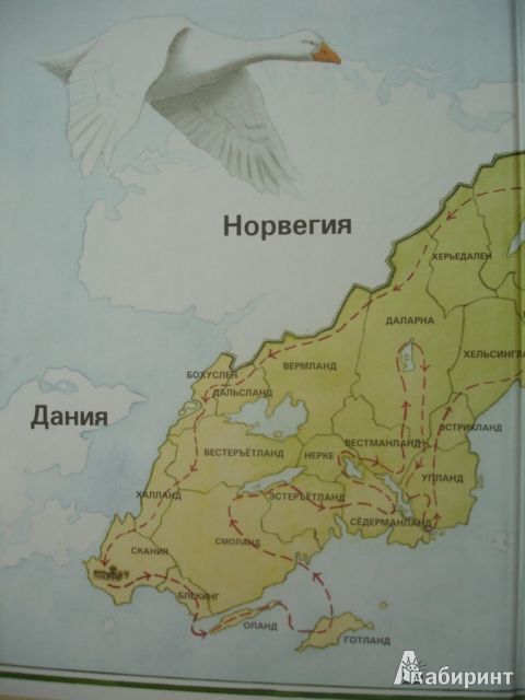 Иллюстрация 20 из 28 для Удивительное путешествие Нильса Хольгерссона с дикими гусями по Швеции - Сельма Лагерлеф | Лабиринт - книги. Источник: Blackboard_Writer