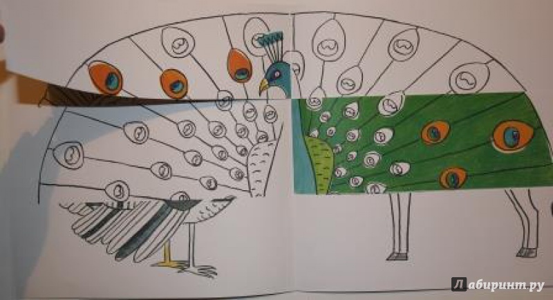 Иллюстрация 7 из 80 для Разноцветная ферма. Книжка-раскраска - Пито, Жерве | Лабиринт - книги. Источник: SvetlanaS