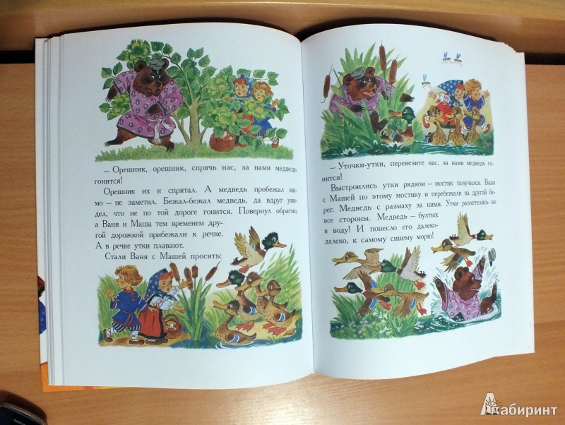 Иллюстрация 23 из 69 для Русские народные сказки | Лабиринт - книги. Источник: Гурьева  Екатерина