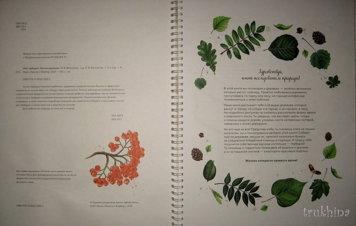 Иллюстрация 85 из 126 для Мой гербарий. Листья деревьев - Анна Васильева | Лабиринт - книги. Источник: Трухина Ирина