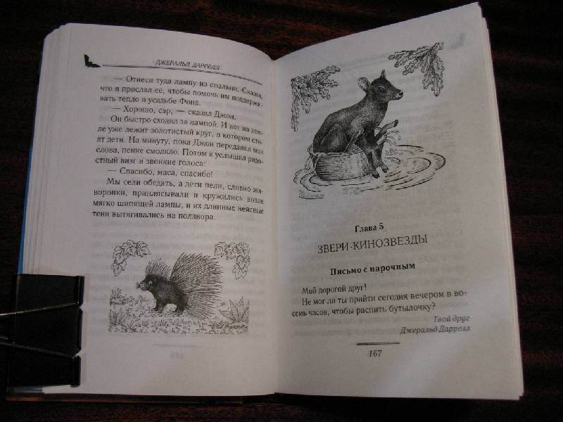 Иллюстрация 16 из 19 для Зоопарк в моем багаже - Джеральд Даррелл | Лабиринт - книги. Источник: tayana