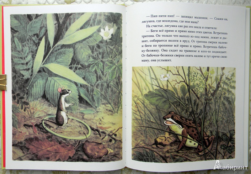 Иллюстрация 22 из 32 для Мышонок заблудился - Нина Павлова | Лабиринт - книги. Источник: Раскова  Юлия