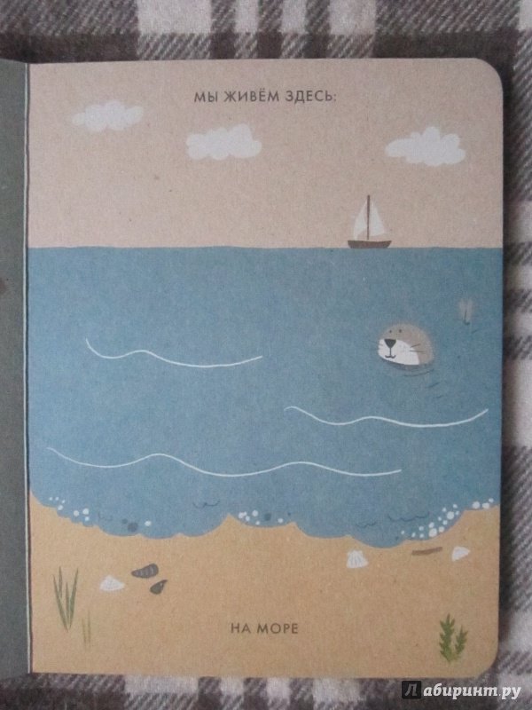Иллюстрация 6 из 45 для Моё маленькое море - Катрин Виле | Лабиринт - книги. Источник: Александрова  Анна Леонидовна
