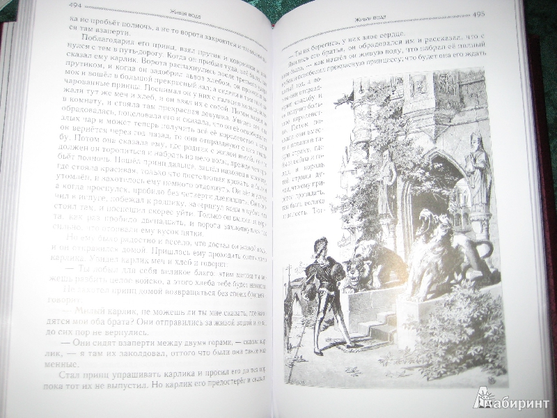 Иллюстрация 10 из 31 для Сказки братьев Гримм - Гримм Якоб и Вильгельм | Лабиринт - книги. Источник: Макарова  Елена